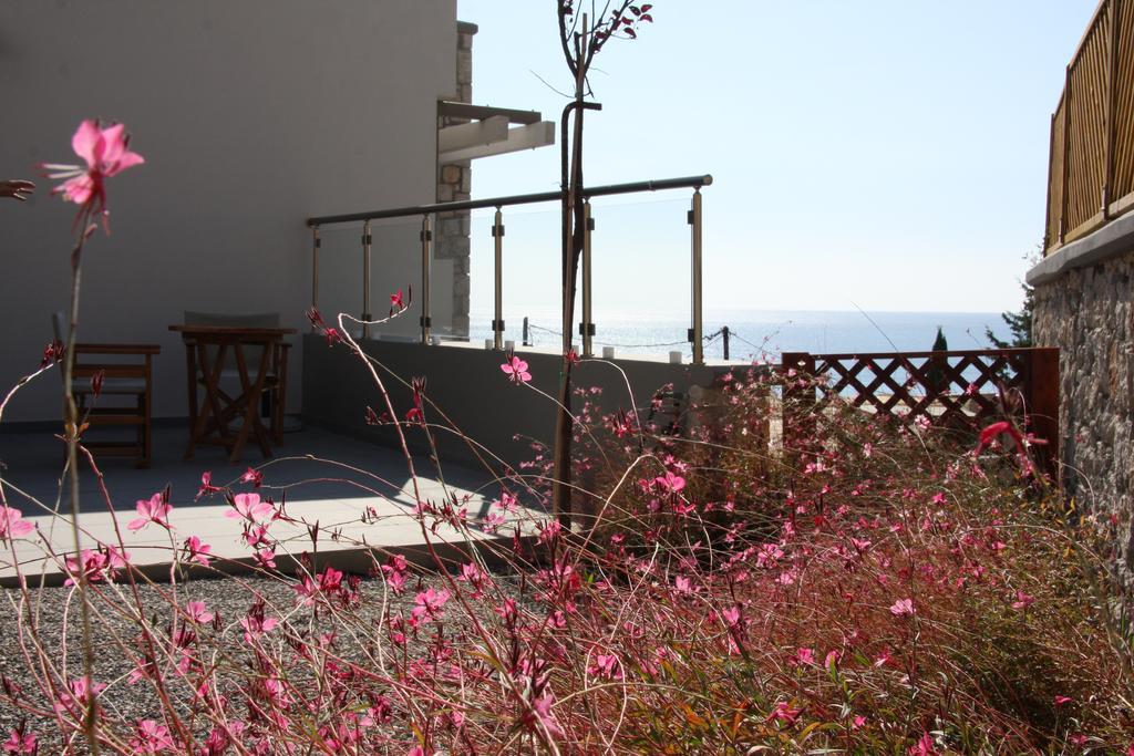 Villa Costamare - Enjoy Lazy Days On The Private Pool-jacuzzi *
